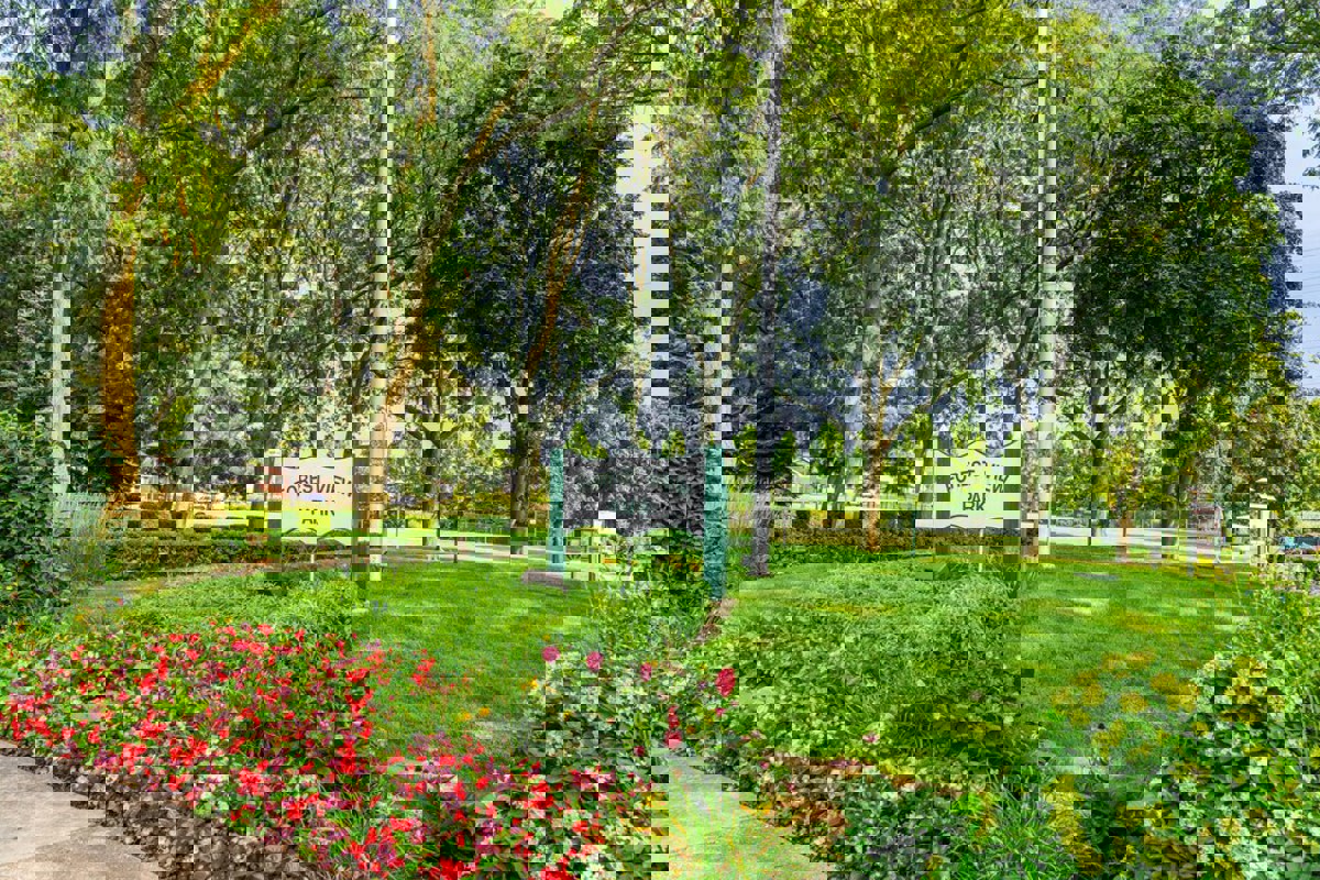 Featured image of About Us